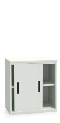 Шкаф-купе архивный ALS-8896